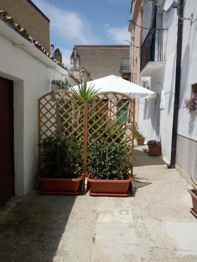 Blue Moon Bed & Breakfast Spinazzola Екстериор снимка
