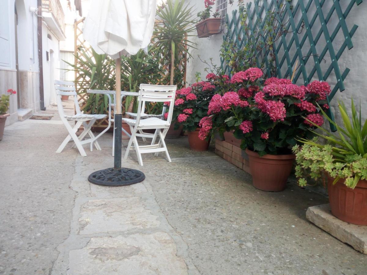 Blue Moon Bed & Breakfast Spinazzola Екстериор снимка